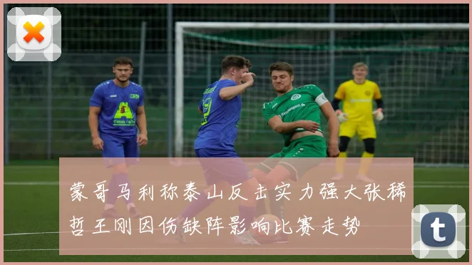 蒙哥马利称泰山反击实力强大张稀哲王刚因伤缺阵影响比赛走势